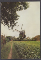 125334/ MOLENPAD, Zittaartse Molen - Meerhout