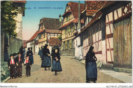 ALCP10-67-0962 - ENGWILLER - Souvenir D'alsace - Haguenau