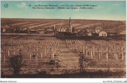 ALCP8-51-0810 - Les Nécropoles Glorieuses - SOUAIN Près Suippes - 30 000 Tombes  - Souain-Perthes-lès-Hurlus