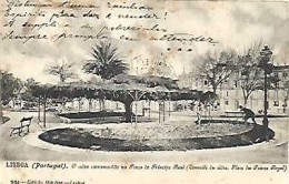 Portugal & Marcofilia, Lisboa, O Cedro Caramanchão Na Praça Do Príncipe Real, Belém 1905 (951) - Lisboa