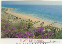 133159 - Jandia - Spanien - Playa - Fuerteventura