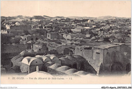 AEQP3-ALGERIE-0179 - El Oued - Vue Du Minaret De Sidi-salem - El-Oued
