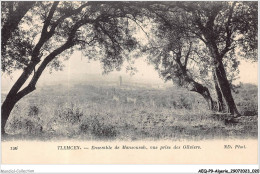 AEQP9-ALGERIE-0755 - Tlemcen - Ensemble De Mansourah - Vue Prise Des Oliviers - Tlemcen