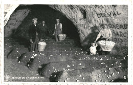 CPA Carte Postale Belgique Folx-les-Caves Champignonnière Retour De La Cueillette    VM79658 - Orp-Jauche