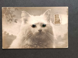Chat Avec Les Yeux En Pierre Verte -  Carte Relief - Carte Postale Ancienne - Katzen