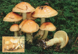 LIBYA 1985 Mushrooms "Pholiota Lenta" (maximum-card) #14 - Champignons