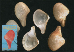 LIBYA 1985 Shells "Mytilidae" (maximum-card) #1 - Coneshells