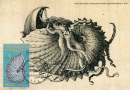 LIBYA 1985 Shells "Argonautidae" (maximum-card) #8 - Conchas