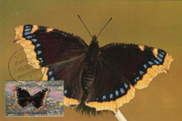 LIBYA 1981 Butterflies "Nymphalis Antiopa" (maximum-card) #9 - Papillons