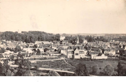 45 . N°205508. Chatillon Coligny. Vue Générale. Cpsm - Chatillon Coligny