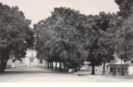 21 - N°111001 - Venarey-les-Laumes - L'école Des Garçons - CPSM - Venarey Les Laumes