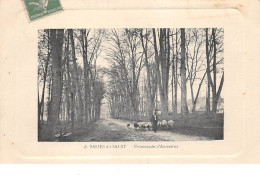 31 - N°110736 - Salies-du-Salat - Promenade D'Austerlitz - Salies-du-Salat