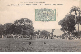 Guadeloupe - N°69494 - L'Escadre Française à BASSE-TERRE - La Revue Au Champ D'Arbaud - Basse Terre