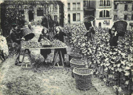 Reproduction CPA - 75 Paris - Vendanges Rue Des Saules à Montmartre - CPM - Carte Neuve - Voir Scans Recto-Verso - Unclassified