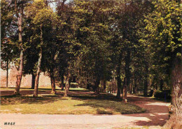 60 - Clermont De L'Oise - La Promenade Du Chatelier - CPM - Voir Scans Recto-Verso - Clermont