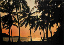 Antilles - Coucher De Soleil - Plages - Carte Neuve - CPM - Voir Scans Recto-Verso - Andere & Zonder Classificatie