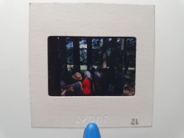 Photo Diapo Diapositive Slide à Situer FAMILLE Dans Les Bois En 1963 VOIR ZOOM - Diapositives (slides)