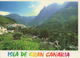 133259 - Gran Canaria - Spanien - La Suerte - Gran Canaria