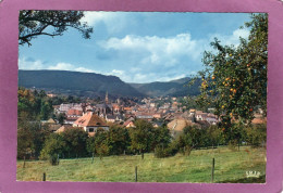 67 NIEDERBRONN LES BAINS  La Ville Au Pied Des Vosges Éditions  La Cigogne N°67 324 40 - Niederbronn Les Bains