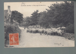 CP - 72 - Mamers - Pâturage Des Moutons - Mamers
