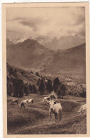 ELEVAGE. CPA. PATURAGE SUR LA ROUTE DU COL DE L'AUBISQUE( 65) - Crías