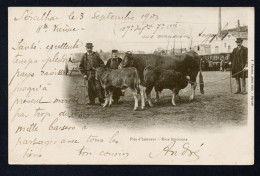 87. Haute-Vienne. Agriculteurs Avec Sa Vache Et Ses Veaux, Race Limousine, Récompensés Par Le Prix D'honneur. 1903 - Andere & Zonder Classificatie