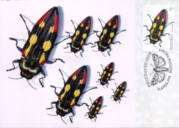 Australië  - MK - Jewel Beetle                          - Cartas Máxima