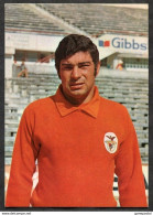 SPORTS. Portugal JOSE HENRIQUES Postcard 1970s Benfica Lisboa Soccer Player (p1071) - Football