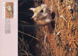 Australië  - MK - Threatened Species                       - Cartas Máxima