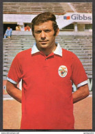 Portugal SIMOES Postcard 1970s Benfica Lisboa Soccer Player. Football (p1072) - Football