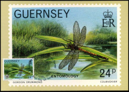 Guernsey - MK - Entomology                         - Guernesey