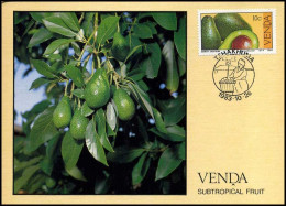 Venda - MK - Subtropical Fruit                        - Venda