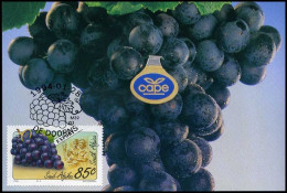 Zuid-Afrika  -  MK  -  Druiven                             - Storia Postale