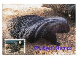 LIBYA 1979 Porcupine "Hystrix Galeata" Wildlife WWF Animals (maximum-card) - Knaagdieren