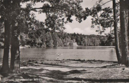 19616 - Ebnisee Im Schwäbischen Wald - Ca. 1955 - Waiblingen