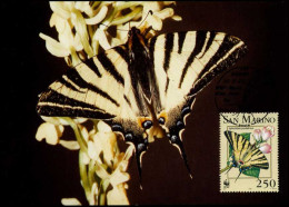  San Marino - MK -  WWF - Scarce Swallowtail - Schmetterlinge