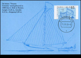  Nederland - MK -  Zomerzegels 1989 - Maximumkarten (MC)