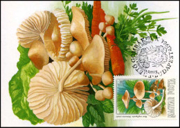 Hongarije - MK -  Paddestoelen / Mushrooms - Cartes-maximum (CM)