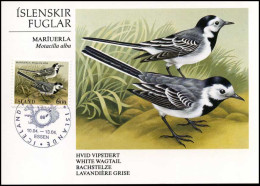  IJsland - MK -  White Wagtail - Maximumkarten