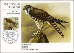  IJsland - MK -  Merlin - Cartes-maximum