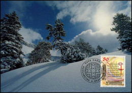  Liechtenstein - MK -  Weihnachten 1993 - Cartes-Maximum (CM)
