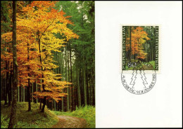 Liechtenstein - MK - Der Wald In Den Jahreszeiten - Maximumkaarten