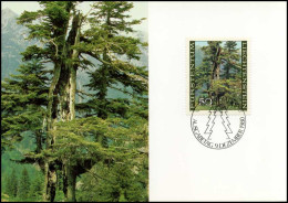 Liechtenstein - MK - Der Wald In Den Jahreszeiten - Maximumkaarten