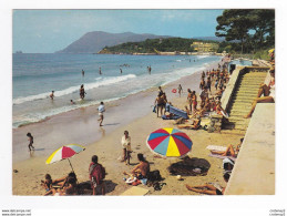 63 LA SEYNE N°868 La Plage Des Sablettes Mar Vivo Baignade Bronzage En 1981 - La Seyne-sur-Mer