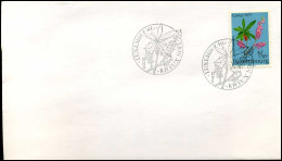 Luxembourg - FDC - Caritas 1977 - FDC