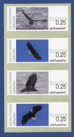 GREENLAND GROENLAND (2023) - ATM Series White-tailed Eagle, Pygargue à Queue Blanche, Seeadler, Haliaeetus Albicilla - Frankeervignetten
