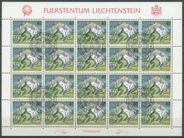 Liechtenstein 1991 Freimarken Berge 1023 Bogen Gestempelt (C16327) - Blokken