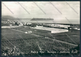 Cosenza Praia A Mare FG Foto Cartolina MV8759 - Cosenza