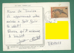 Tunisie Timbre Varan Du Désert Sur Carte Postale De Tameghza 1998 - Other & Unclassified