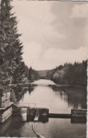 70976 - Tambach-Dietharz - Talsperre Im Apfelstädter Grund - 1959 - Tambach-Dietharz